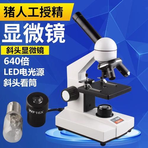 猪人工授精专用显微镜640倍 led电光源 斜头显微镜 专业生物学生